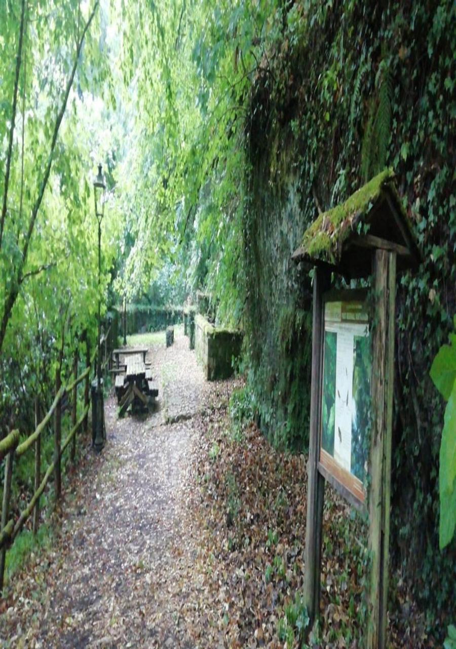 Antica Dimora Apartment Barbarano Romano Bagian luar foto